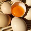 土鸡蛋20枚装