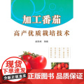 加工番茄高产优质栽培技术