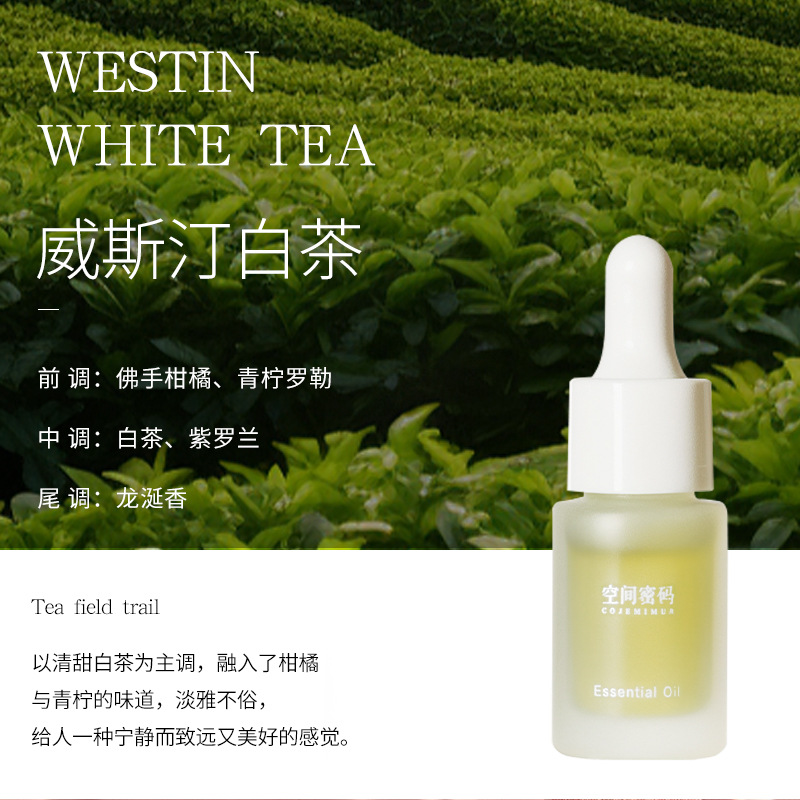 臻远 ZY-ZGTT-54 香薰晶石 不规则北美黑水晶 威斯汀白茶(含10ml精油)高清大图