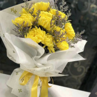 鼎卉鲜花速递清明节扫墓上坟殡葬鲜花11朵黄菊花花束丧事吊唁祭奠追悼全国同城配送【慈颜已逝】11朵黄菊花束