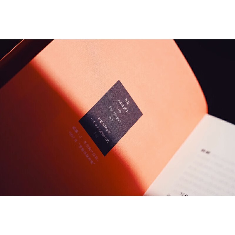 [正版]精装 麦读译从10性与法律 杰弗里·R.斯通 从古希腊到二十一世纪性观念性规范性道德社会文化 社会文化变革民主高清大图