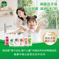 滴露健康抑菌洗手液植物呵护450g*2