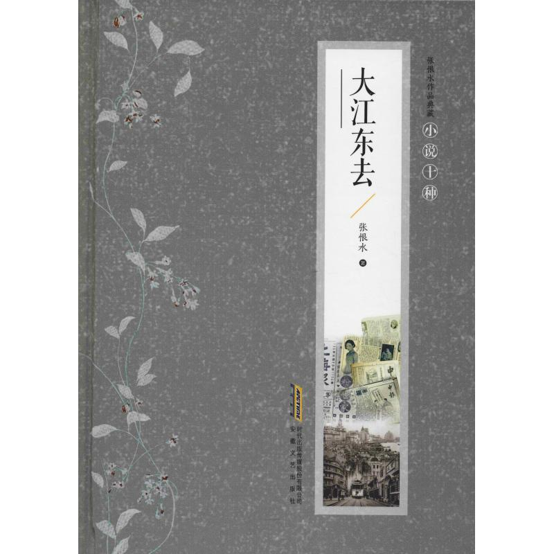 正版新书】大江东去张恨水9787539664613