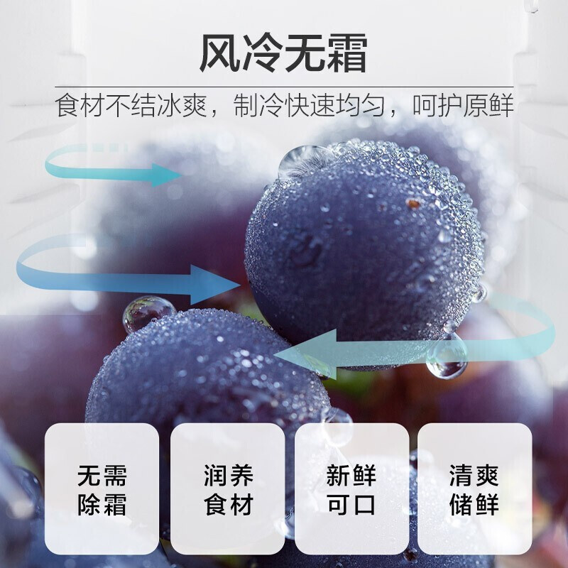 海尔(Haier)170升双门冰箱 风冷无霜 节能家用电冰箱 两门冰箱 家用小冰箱BCD-170WDPT高清大图