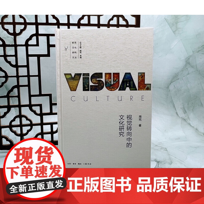 视觉转向中的文化研究(视觉文化研究文丛) 周宪 生活读书新知三联书店 正版书籍高清大图