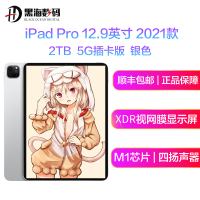 苹果 Apple 2021新款 iPad Pro 12.9英寸 2T 5G插卡版 苹果平板电脑 MHRR3 银色 海外版