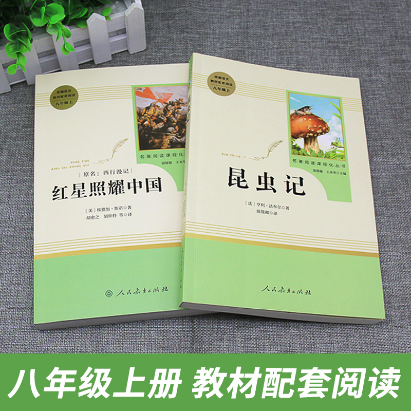 红星照耀中国+昆虫记[赠导练+同步笔记8年级数学] [正版]昆虫记法布尔原著初中生八年级上册名著阅读人民教育出版社红星照高清大图