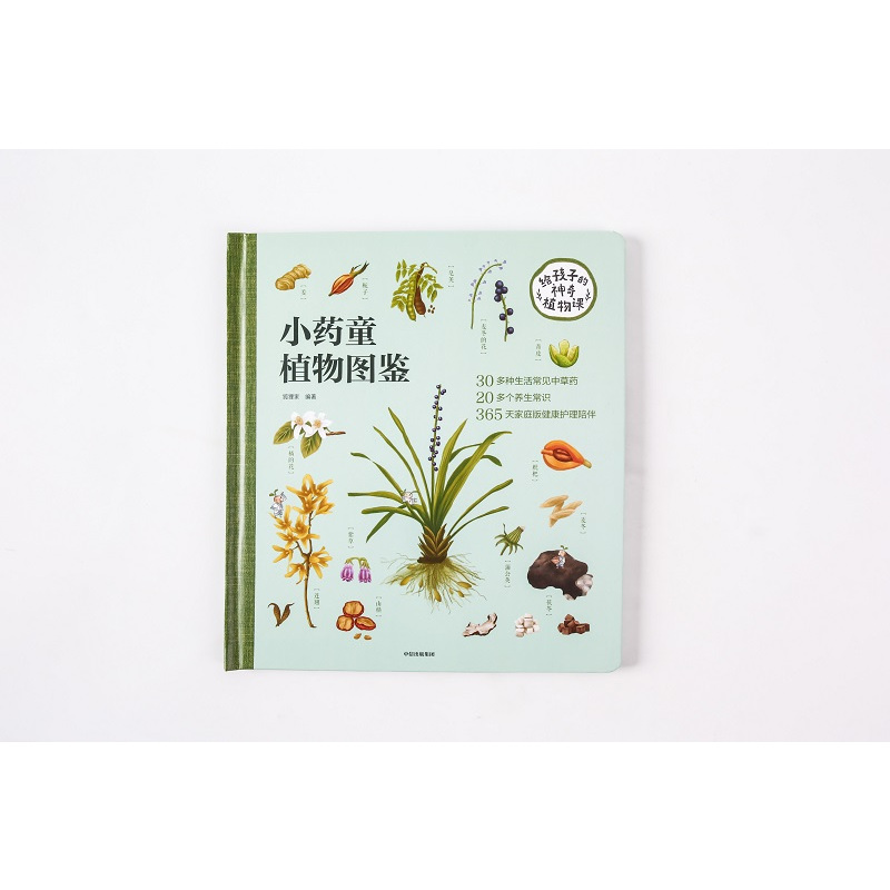给孩子的神奇植物课 [正版]3-6岁给孩子的神奇植物课狐狸家著探秘植物精灵的秘密花园发现中草药的童话世界习得常见中草药常