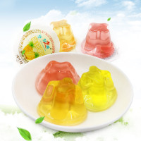 梦之源果冻500g 果肉夏季休闲儿童零食 Source of the dream