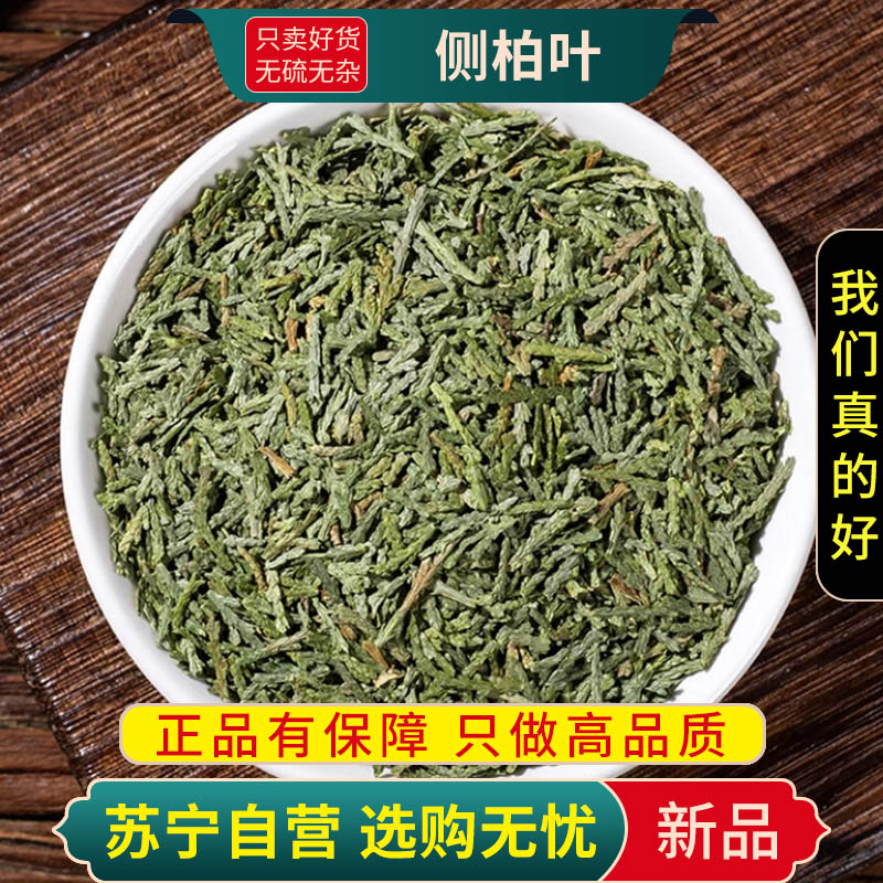 侧柏叶100克干货正品新货官方店香柏扁柏柏树侧伯叶干侧伯叶侧伯叶
