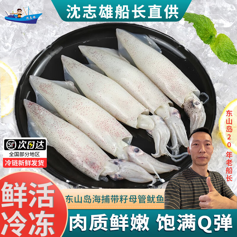 沈志雄船长 东山岛海鲜有籽带膏小管鱿鱼笔管鱼4-7个/盒 1盒净重400g 拍2份更实惠