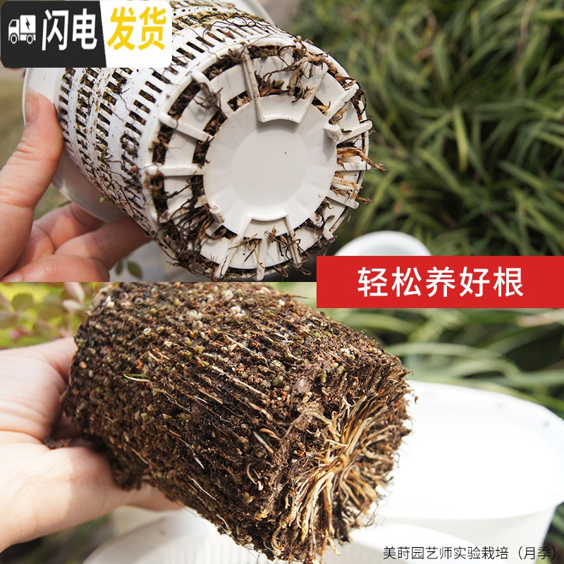 三维工匠美莳蝴蝶兰控根花盆透气加仑塑料胶树脂大号绿萝君子虎皮兰专用盆 内径16cm黑色套盆[无托盘] 中等花盆容器