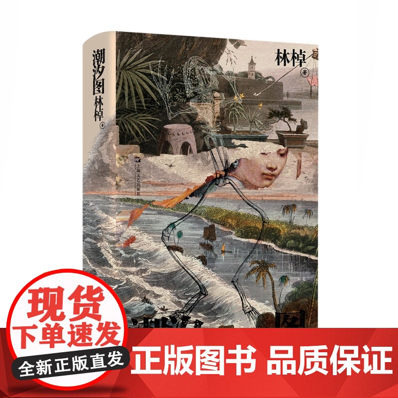 潮汐图 林棹豆瓣年度作者 2022年宝珀文学奖获奖作品 当代文学精装正版书上海文艺出版社长篇小说 另著流溪高清大图