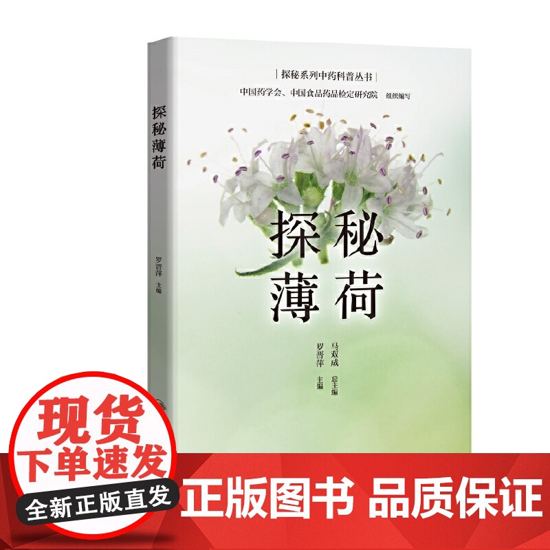 探秘薄荷高清大图