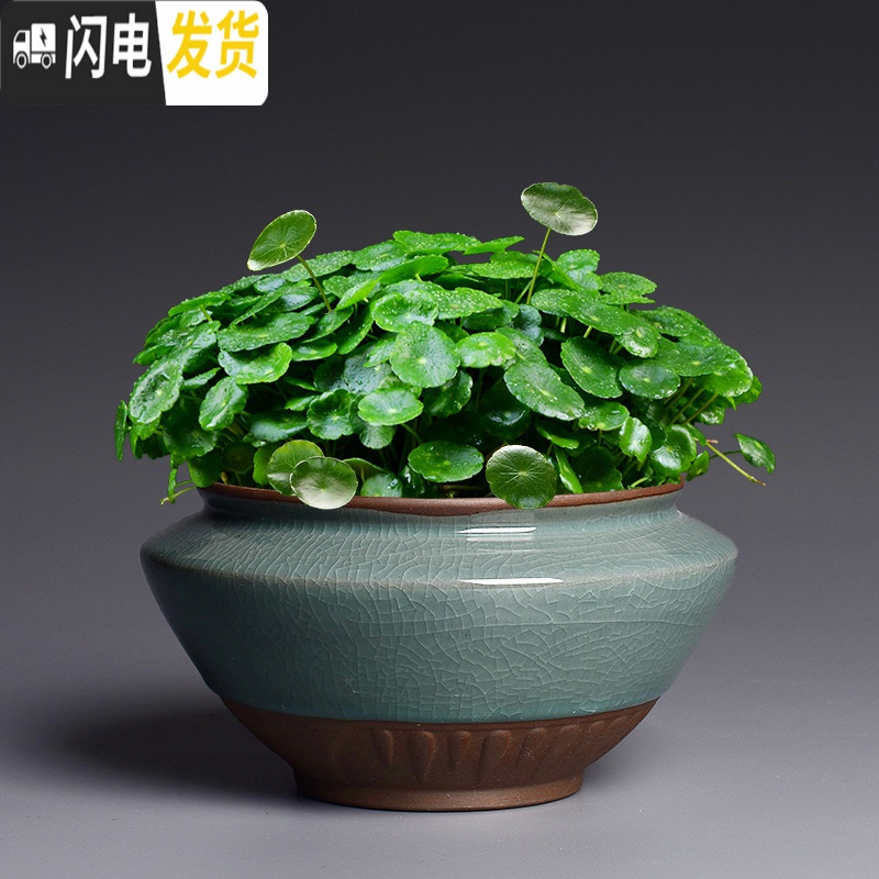 三维工匠陶瓷批发无孔水培容器铜钱碗莲睡莲多肉家用特大号 和风盛世 大花盆容器高清大图