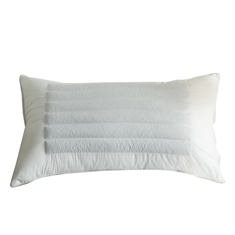 芳恩家纺FAUNEN 全棉荞麦羽丝枕48×74cm FN-R7012