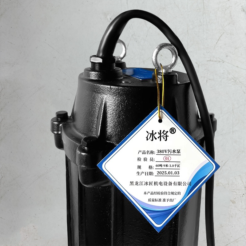 冰将 380V污水泵潜水泵排水泵排污泵 单位:台高清大图