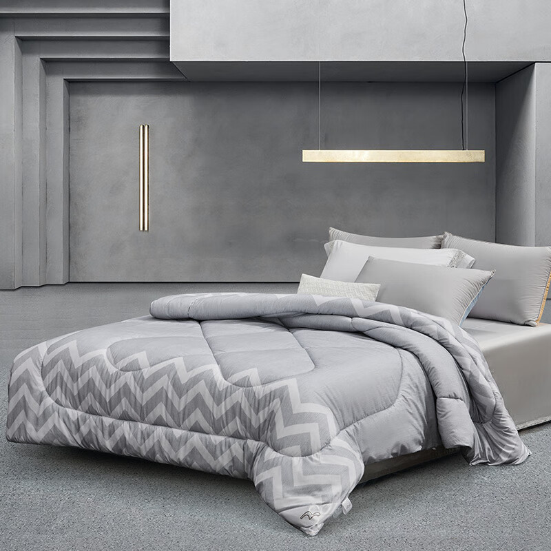 水星家纺DH典雅负离子抗菌冬被200cm*230cm 6斤