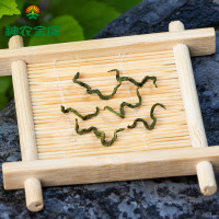 神农金康丁香叶茶胃茶叶长白山丁香红叶花茶非特级九珍茶