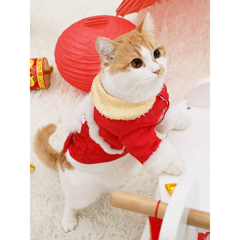 猫咪衣服舞狮可爱保暖新年唐装宠物英短蓝猫秋冬网红过年喜庆冬装