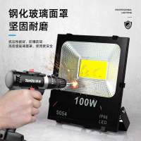 户外投光灯100W(自带25cm线)led投光灯射灯