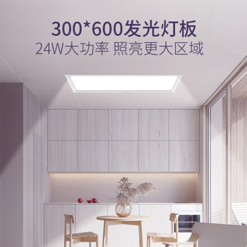 奥普(AUPU)浴霸普通集成吊顶式照明系列5024A白色30*60厨房卫生间透关无闪节能LED长方形灯功率24W平板灯
