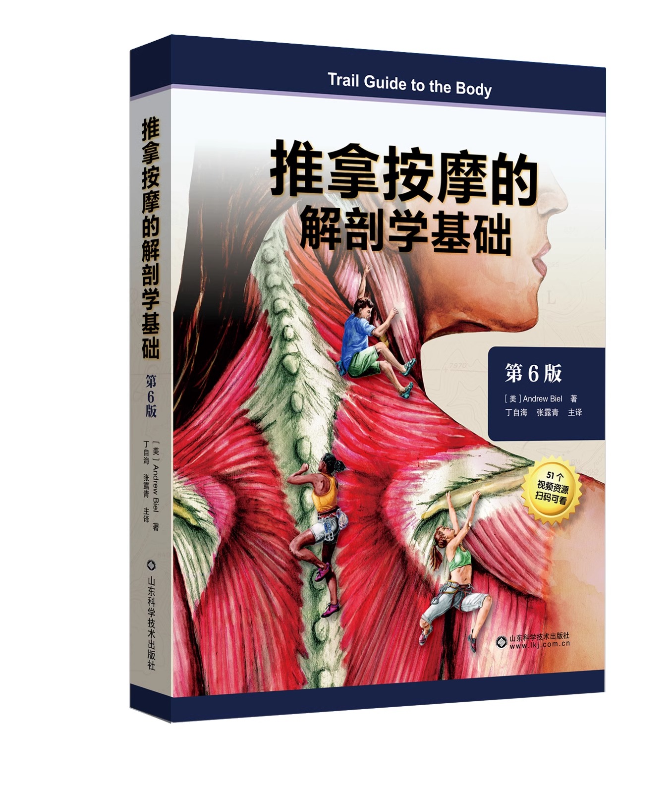 [正版]推拿按摩的解剖学基础第6版探查人体触感差异推拿按摩书籍教程人体结构肌肉解刨运动系统局部疗法物理康复治疗师肌骨触高清大图