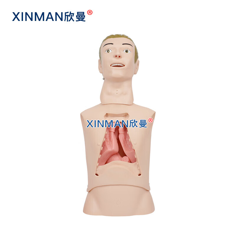 欣曼科教 高级鼻胃管与气管护理模型 鼻饲模型 鼻胃插管模拟人XM-BWG高清大图