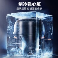 星星(XINGX)347升风冷无霜立式展示柜冰柜 饮料冷藏柜商用保鲜柜陈列柜冷柜 LSC-360WYPE