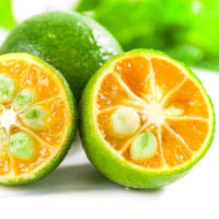 小金桔新鲜水果当应季青金桔柠檬奶茶店榨汁调味 250g/份