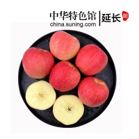 【中华特色】延长馆 耕基 早熟嘎啦红富士苹果2斤装 陕西新鲜水果延安苹果山地国产水果脆甜粉面香苹果 西北