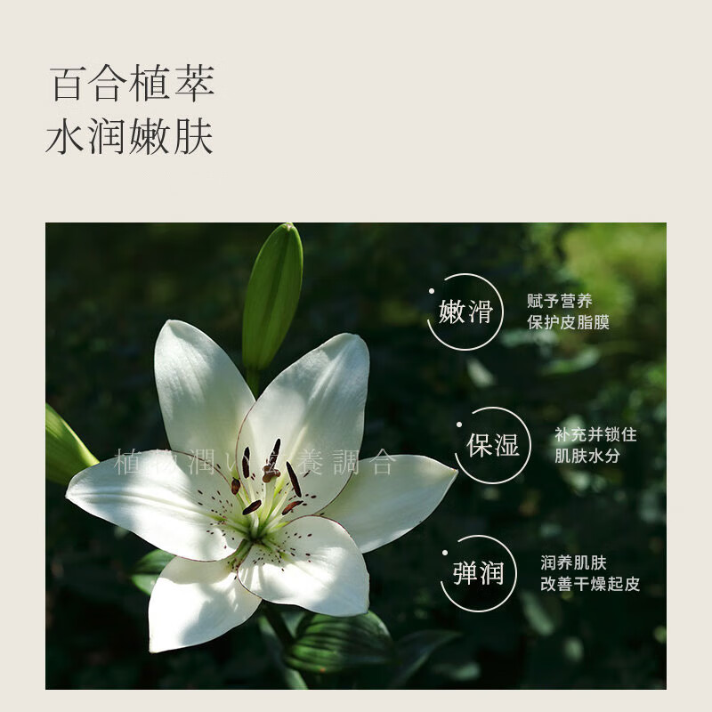 浅香 -百合氨基酸沐浴露750g高清大图