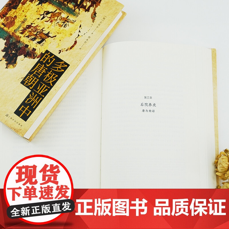 多极亚洲中的唐朝 王贞平 著 历史高清大图