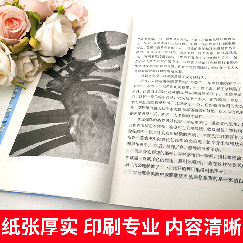 后一头战象沈石溪动物小说单本沈石溪的书正版少年儿童出版社儿童文学儿童书籍四五六年级必读课外书