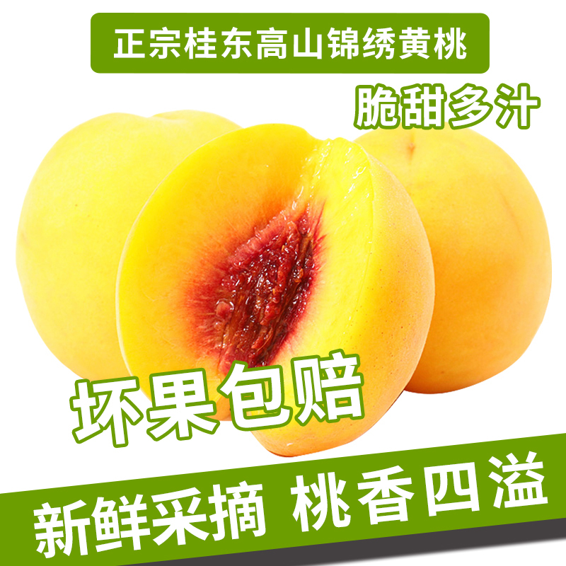 桂东锦绣 超大号黄桃 2.5斤装 桃子新鲜当季水果蜜桃脆毛桃