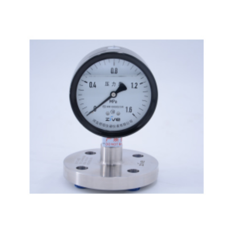 ZIVE 隔膜压力表ZIVE-1306471 个高清大图
