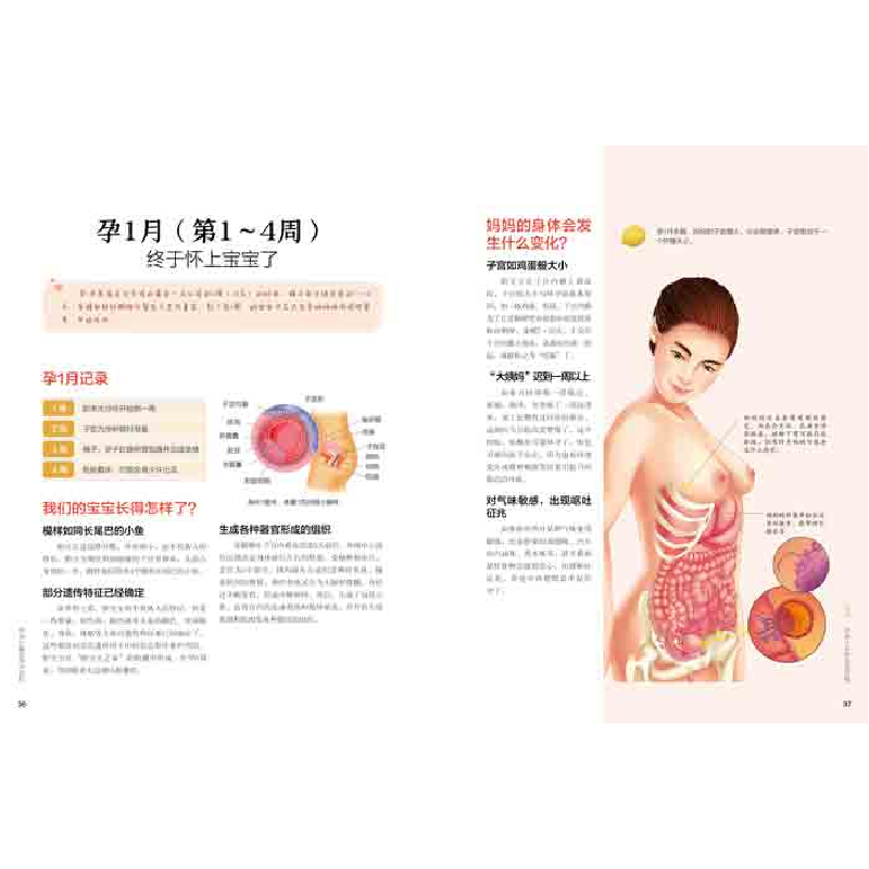 醉染图书怀孕分娩实用大百科(升级版)9787557863845高清大图