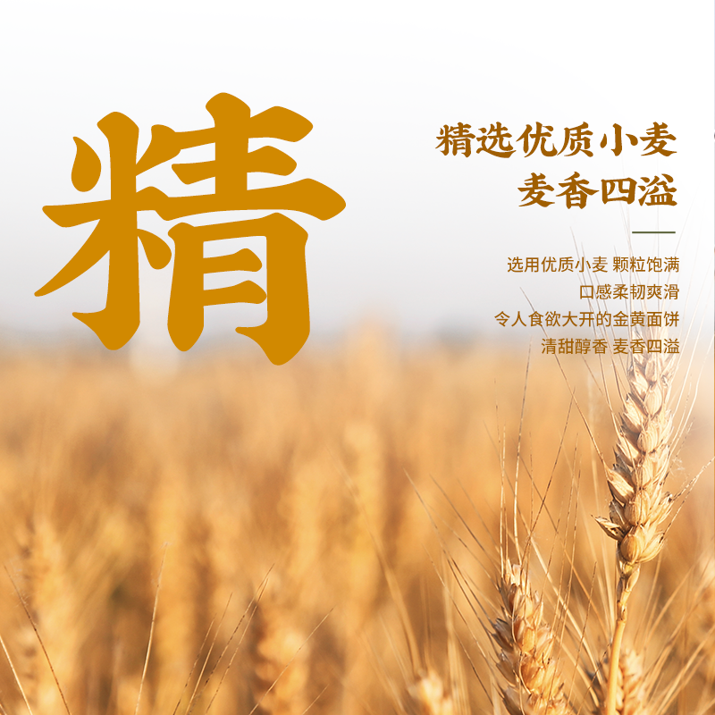 白象红烧排骨面单料包袋装方便面高清大图