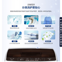 海尔(Haier)波轮洗衣机 全自动家用 8公斤智能预约 自由选择洗衣时间 漂甩二合一 2级能效 XQB80-Z1269