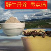 丹参丹参粉正品云南文山特级正品250g丹参粉