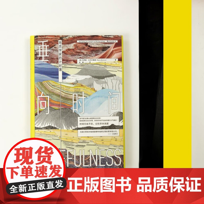 垂向时间 地质学家的计时簿 马西娅·比约内鲁德 著 海洋气候地地震 环境学地球科学地质学 自然地理科普书籍高清大图