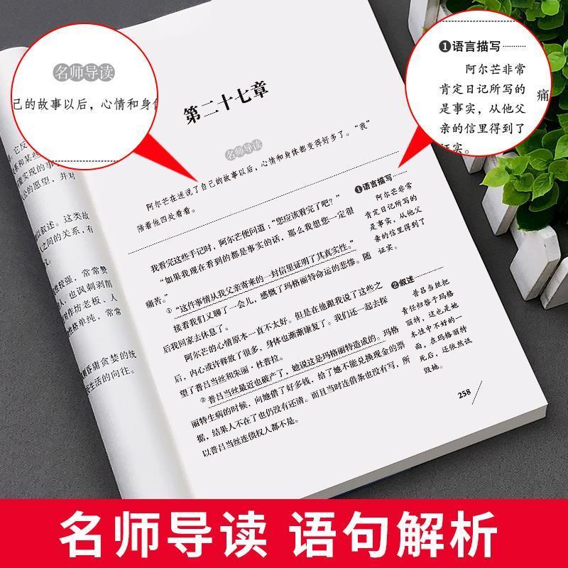 茶花女小学生至初中适合阅读的课外书三四五六七年级必读名著 茶花女