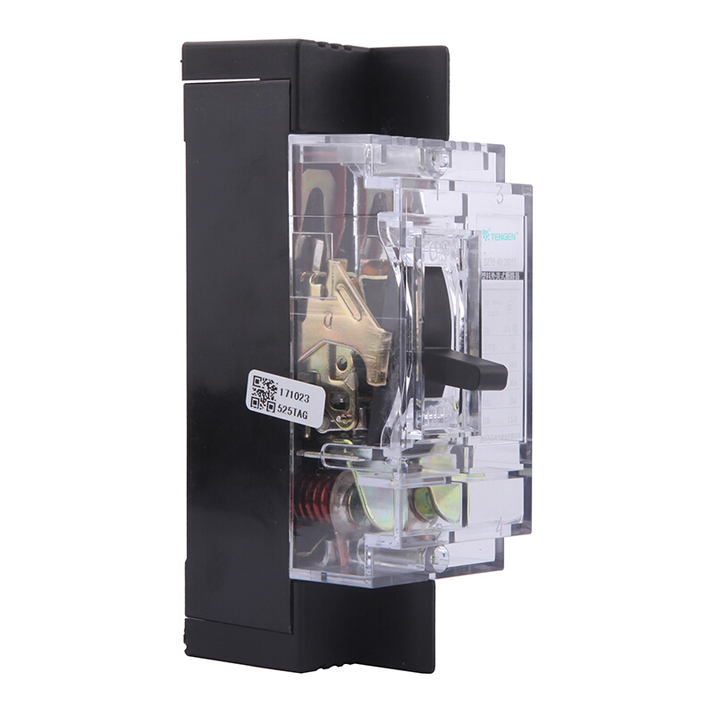 天正电气 DZ15-40 3KA 热磁式 40A 2P 手动 固定式 220V 01040030072 塑壳断路器