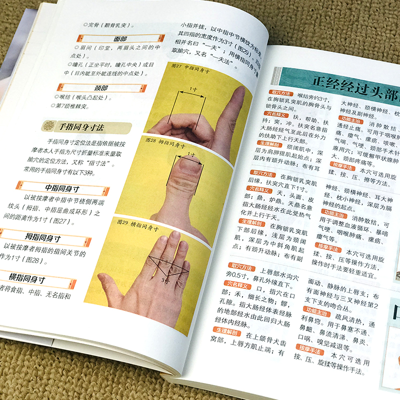 诺森一学就会头耳按摩陈艳编著9787110104996科学普及出版社高清大图