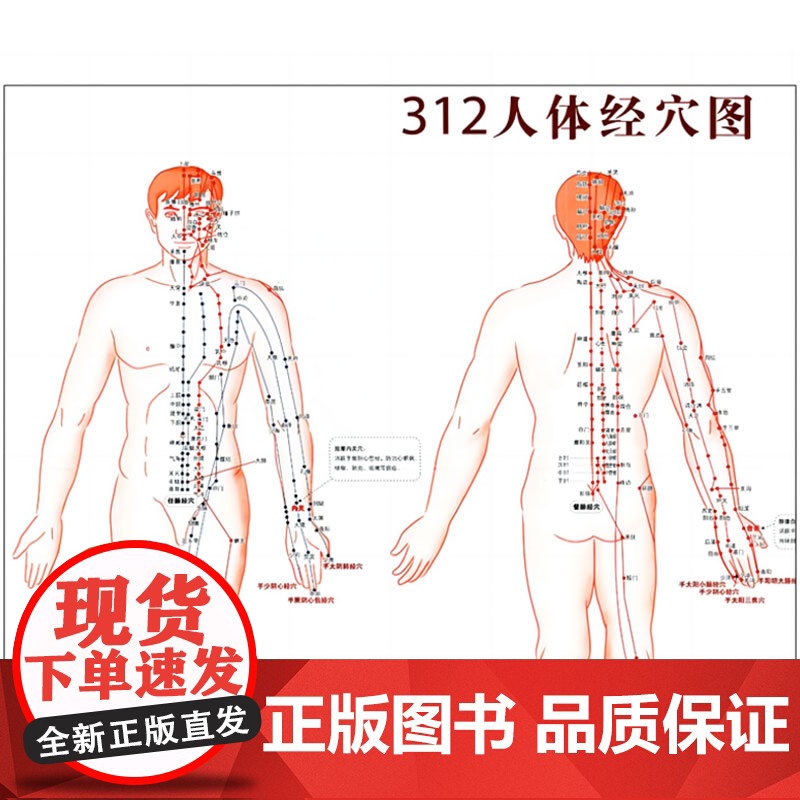 312经络锻炼法 全效升级版祝总骧百岁健康养生保健 人体经络穴位按摩保健大全家庭医生推拿健康图书 中医养生书籍高清大图