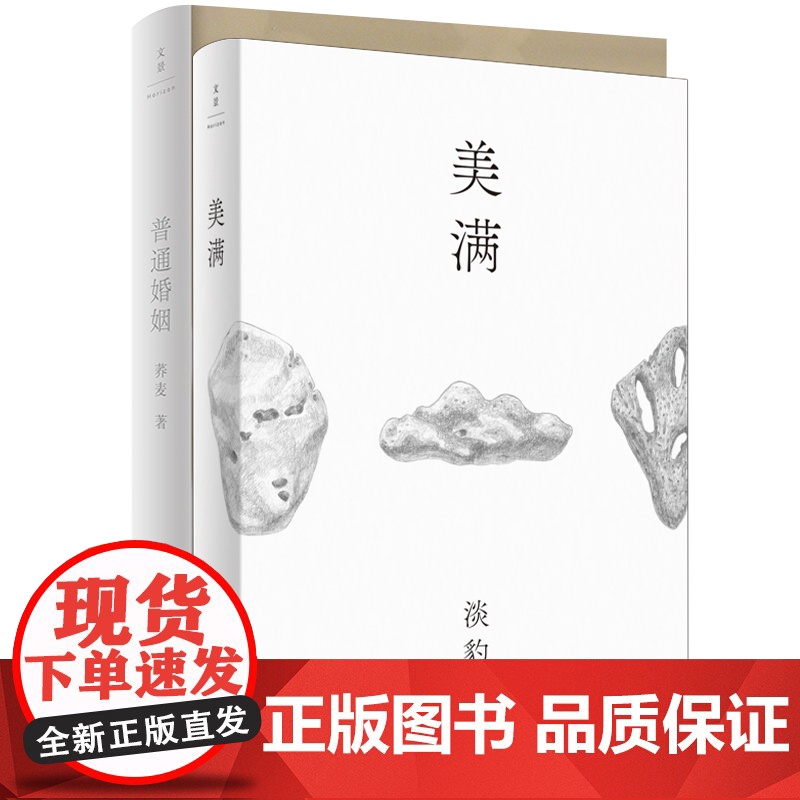 美满:淡豹著短篇小说集+普通婚姻:微博超人气高质量投稿互动全能博主荞麦作品 世纪文景现当代文学正版图书籍高清大图