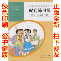 正版2019人教版小学六年级下册语文配套练习册人民教育出版社配套练习册小学语文六年级下册教材课本教科书