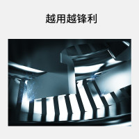 飞科(FLYCO) FR6 刀网