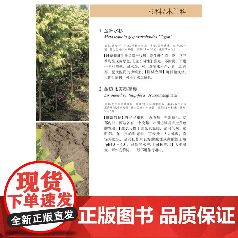 1000种彩叶植物识别图鉴(彩图典藏版) 298859 侯元凯,王炜炜, 周桃龙,贾孝利,张根伍,李国红,王钊奇, 周娟