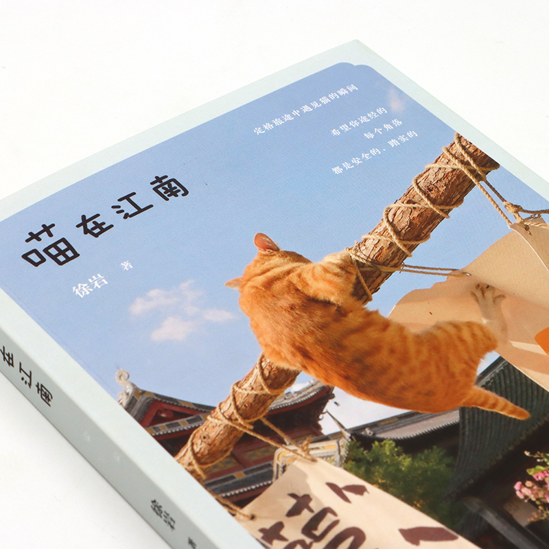 喵在江南 [正版]出版社喵在江南 徐岩猫咪摄影集写真随笔可爱宠物街猫拍摄照片相册萌趣猫猫照片喵星人摄影画册创意礼物高清大图